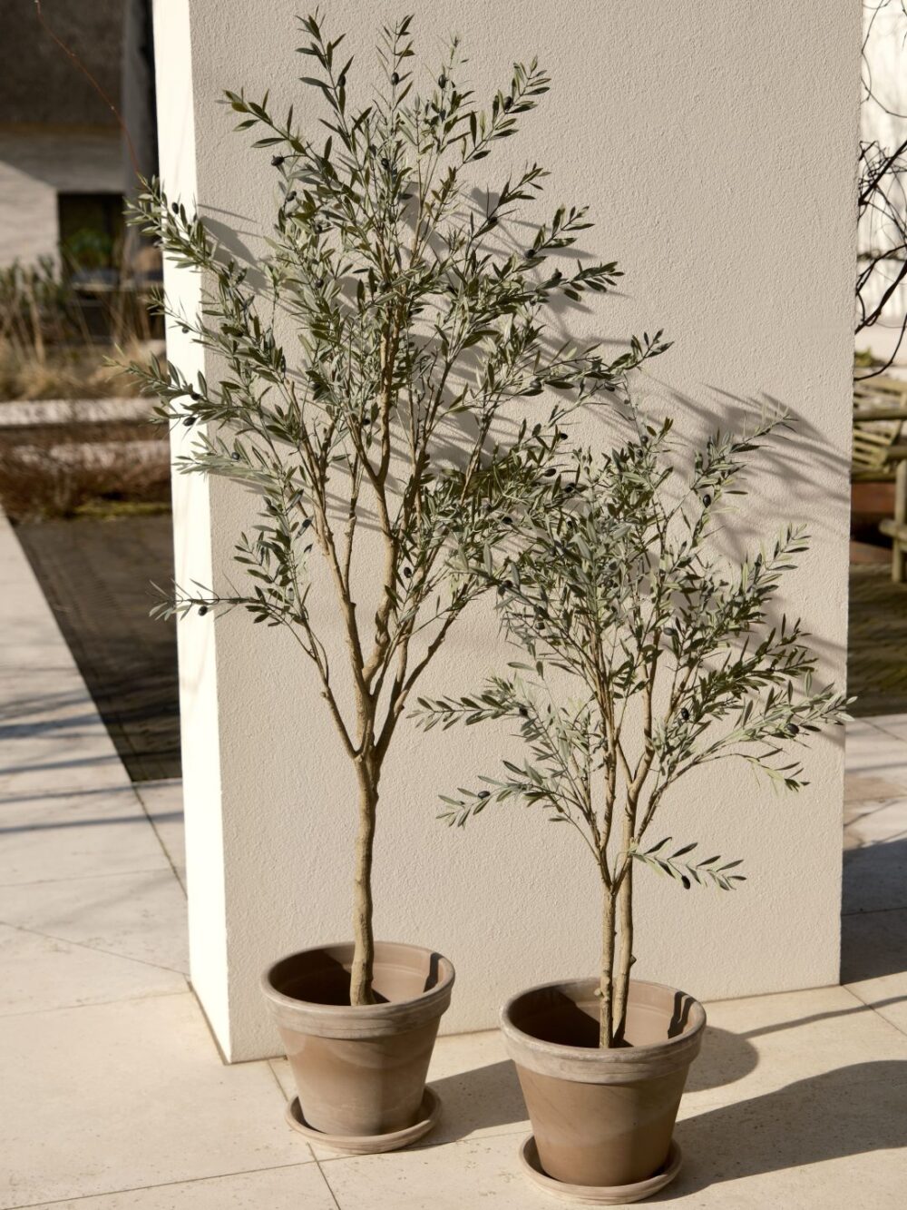 Olijfboom voor buiten UV proof 120cm