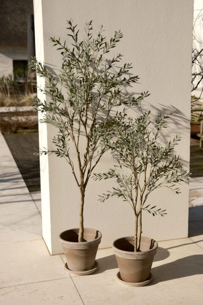 Olijfboom voor buiten UV proof 120cm