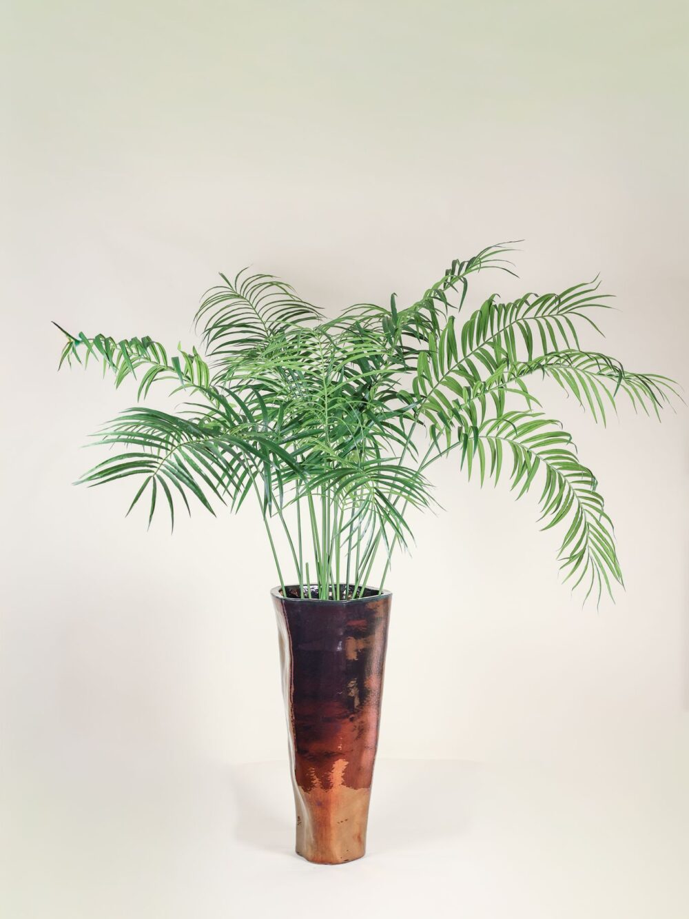 Palmboom deluxe 180 cm