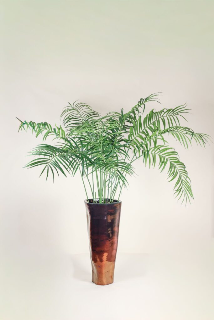 Palmboom deluxe 180 cm