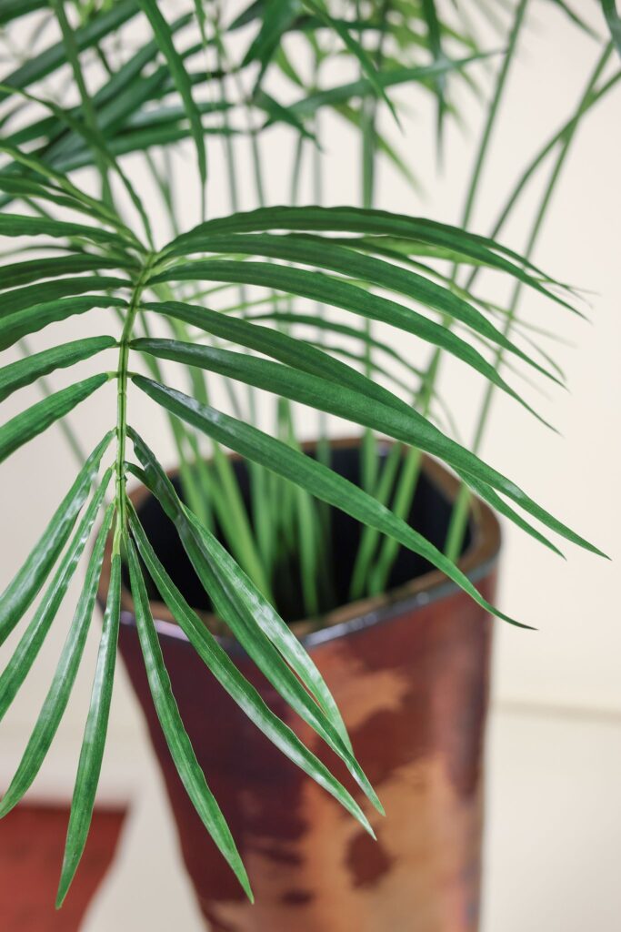 Palmboom deluxe 180 cm