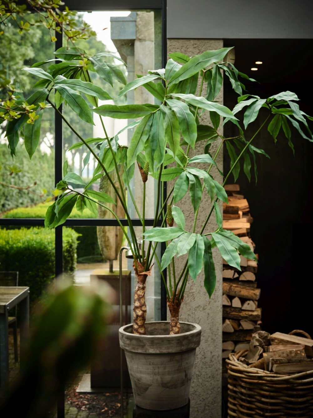 Philodendron luxe kunstplant Silk-ka 200cm