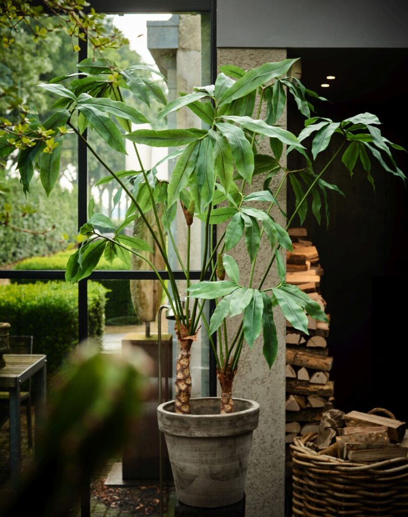 Philodendron luxe kunstplant Silk-ka 200cm
