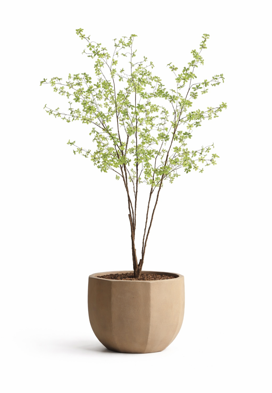 Small Leaves luxe kunstboom 240 cm