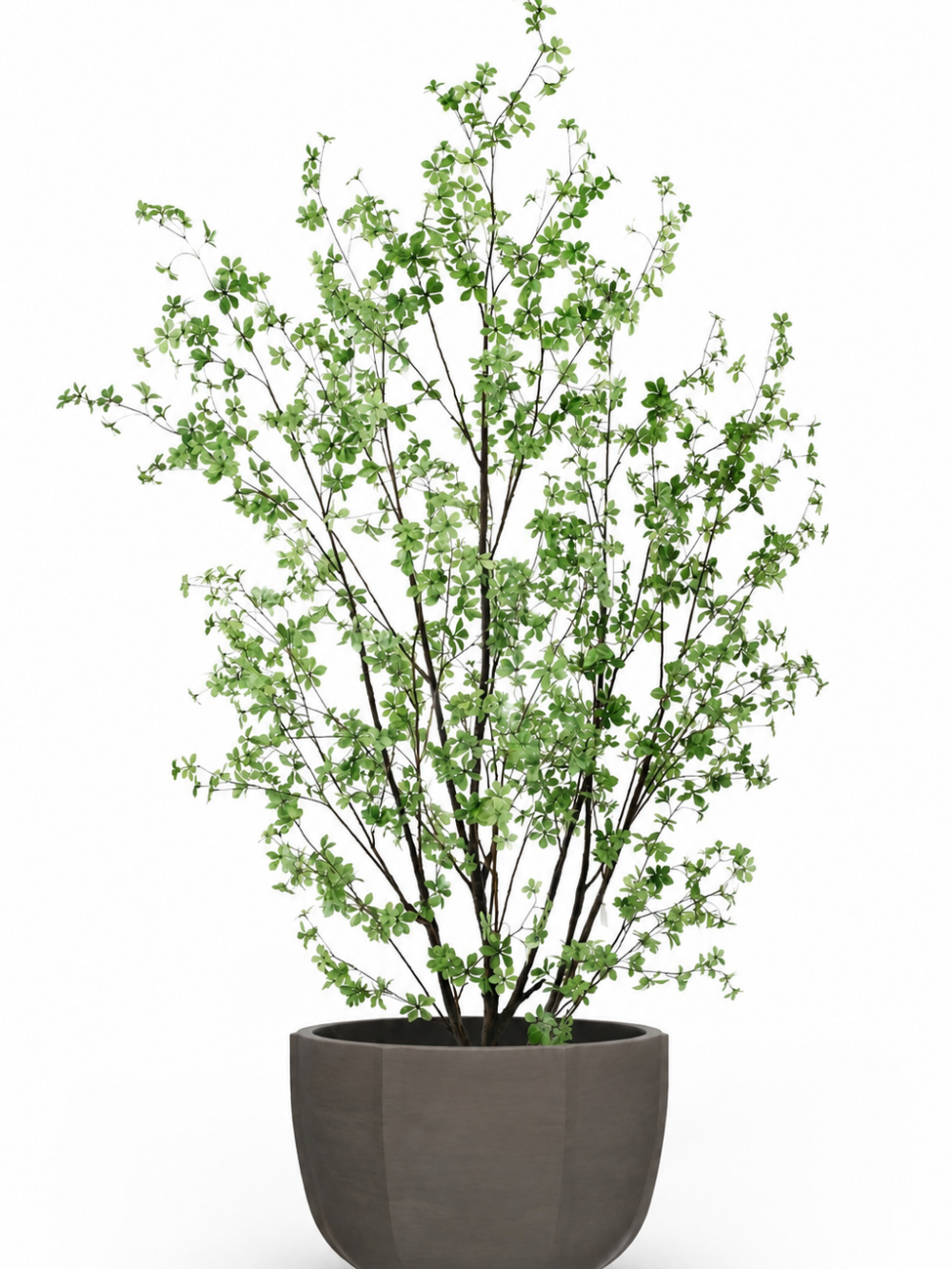 Small Leaves kunstboom heester 250 cm