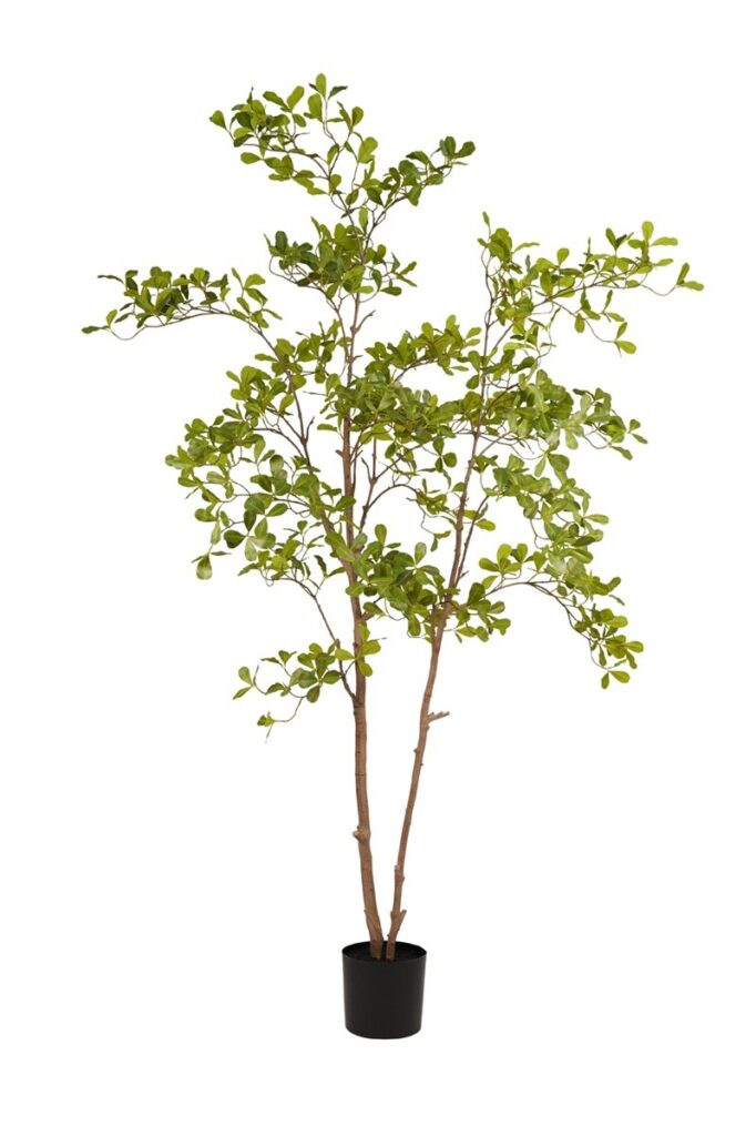Terminalia kunstboom 200cm.