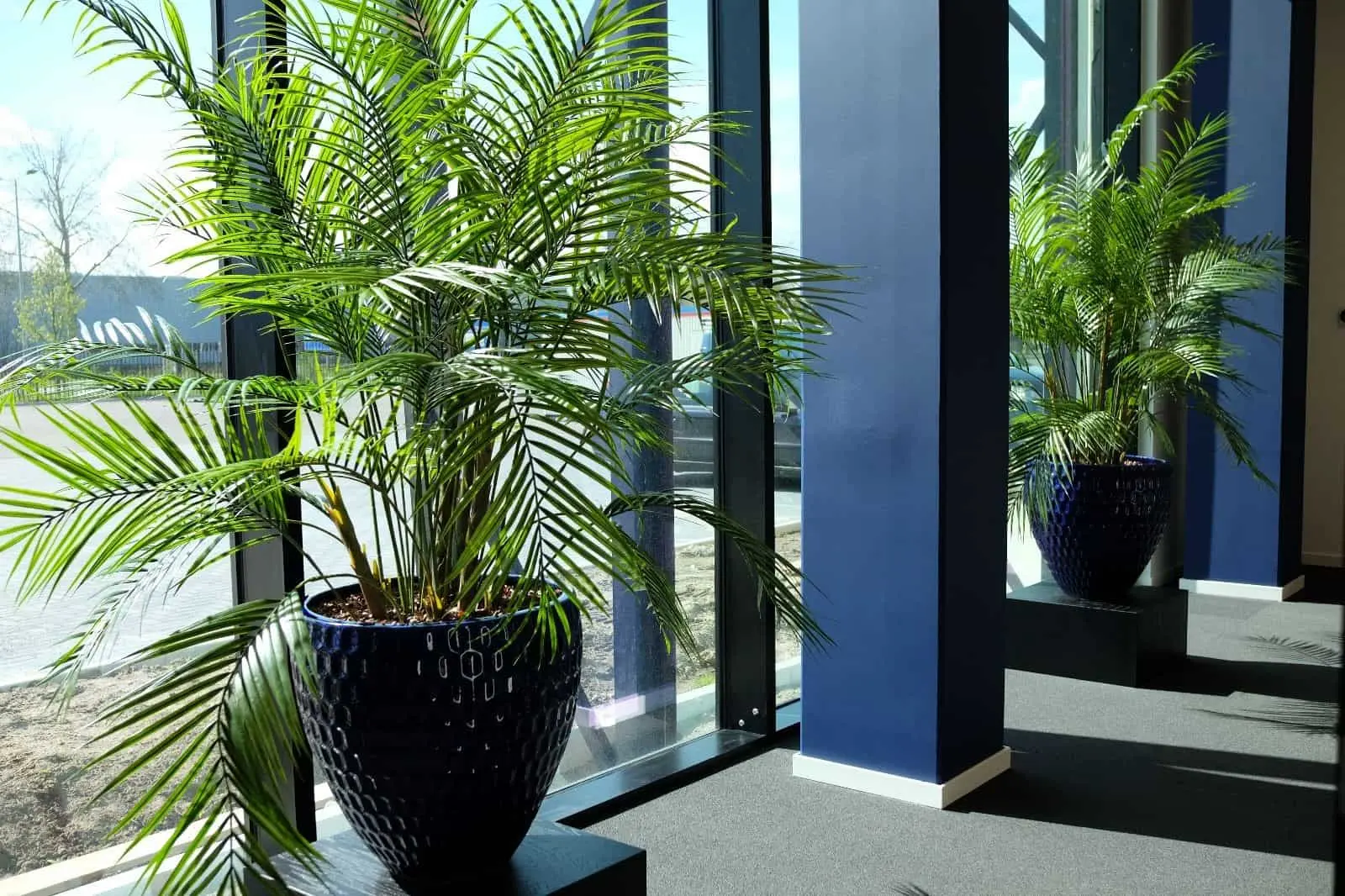 duurzame kunstplanten