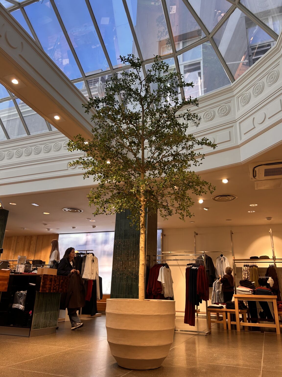Zakelijke interieurbeplanting: grote kunstboom in een ronde pot in het atrium van een modewinkel met glazen koepel