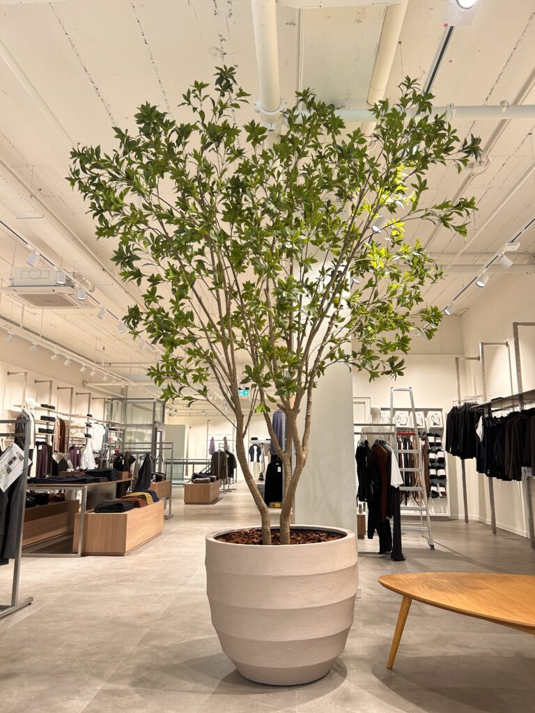 Kunstboom in een lichte pot in een modewinkel