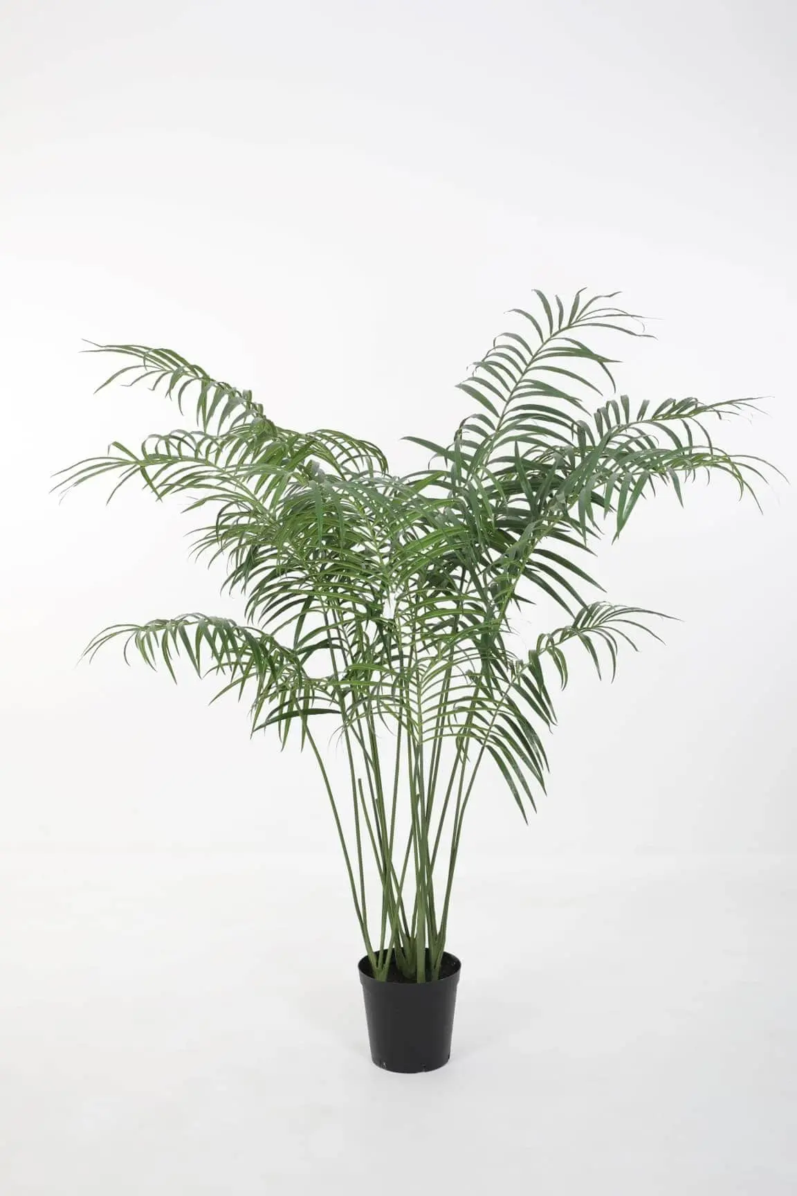 Palmboom Deluxe 180 cm – Luxe tropische kunstpalm voor een stijlvol interieur