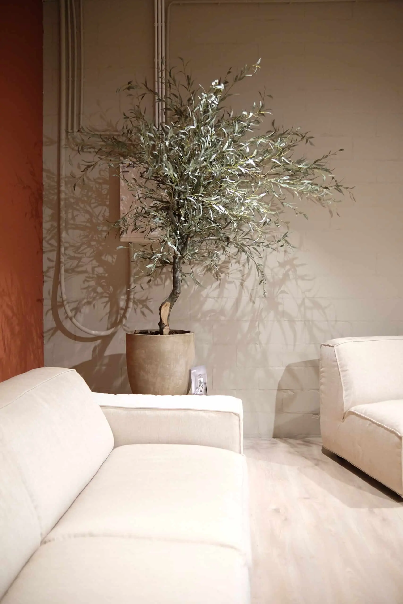 Biophilic design – luxe interieurinspiratie met natuur en groen