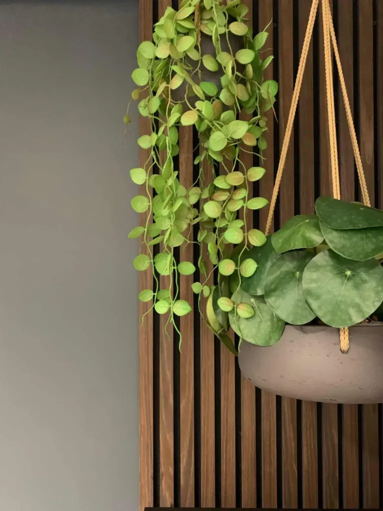 High-end planten in het interieur – luxe groen voor balans