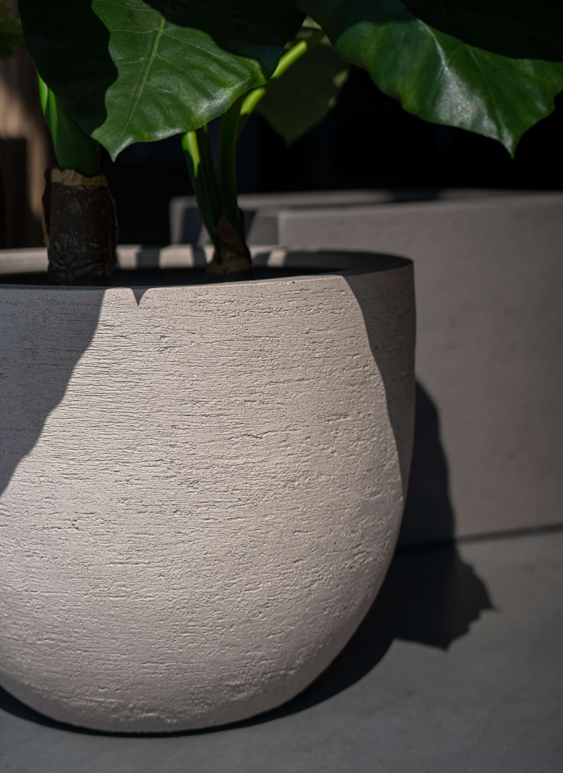 Terreno pot beige