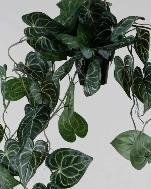Close-up blad Anthurium kunst hangplant