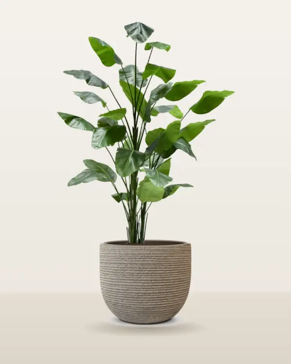 Strelitzia kunstplant Silk-ka 300 cm in pot