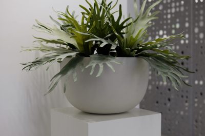 Kunstplant Staghorn